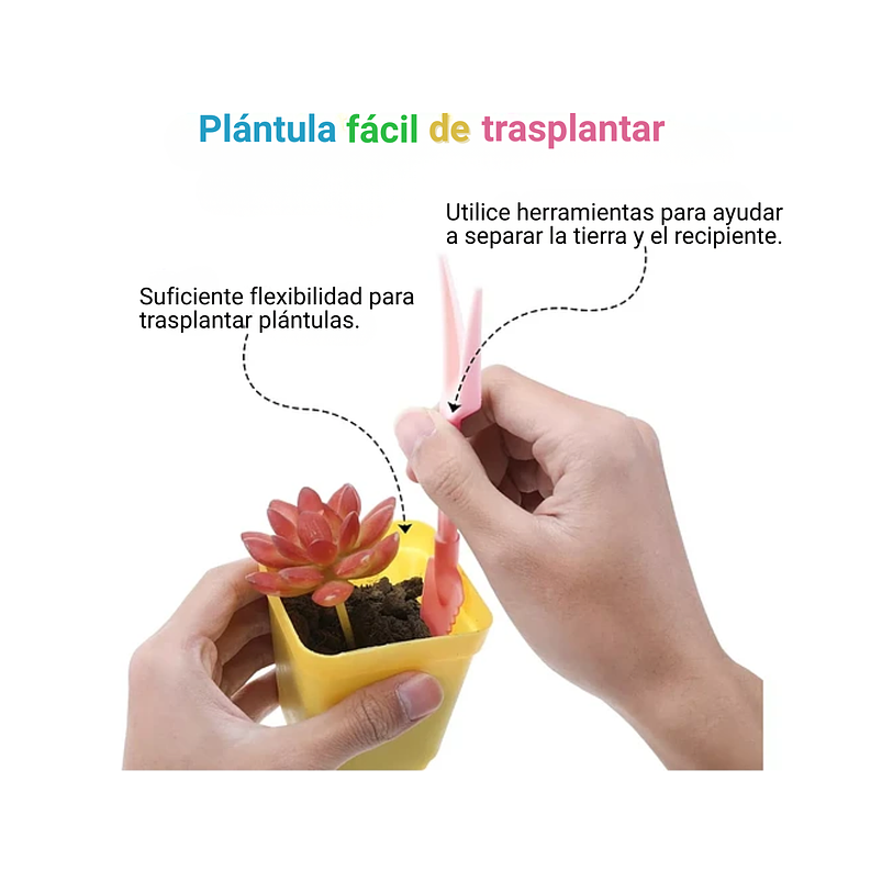 Kit Germinación Plantas X6 Bandejas mas cúpula y herramientas 6