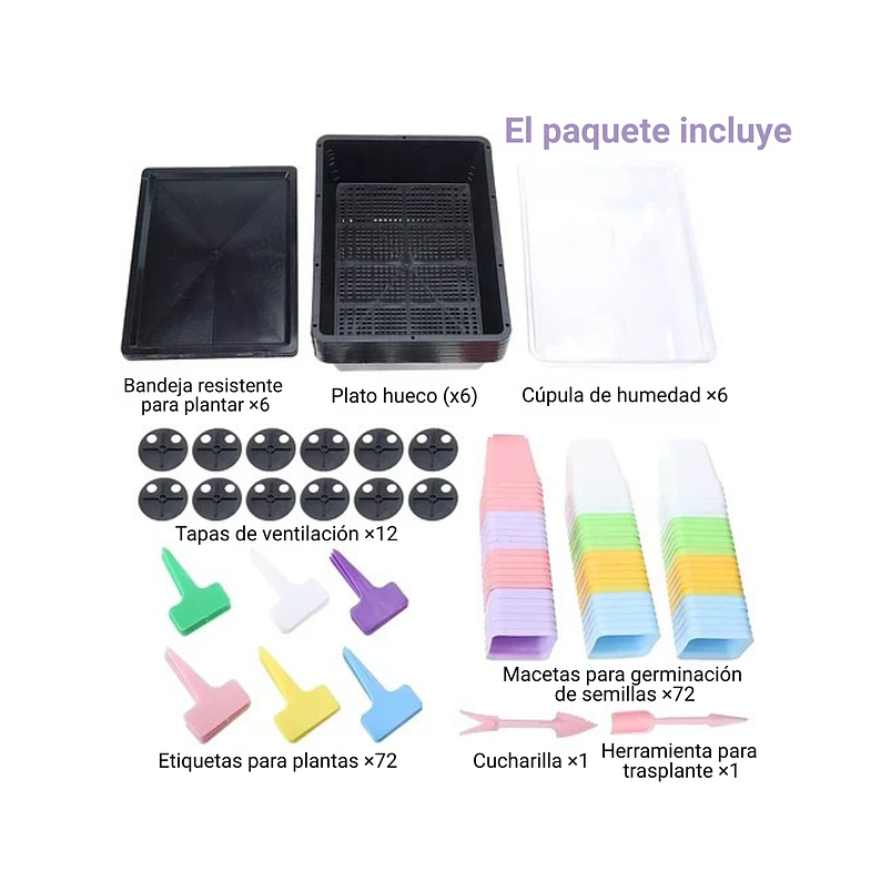 Kit Germinación Plantas X6 Bandejas mas cúpula y herramientas 8