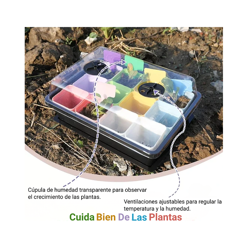 Kit Germinación Plantas X6 Bandejas mas cúpula y herramientas 5