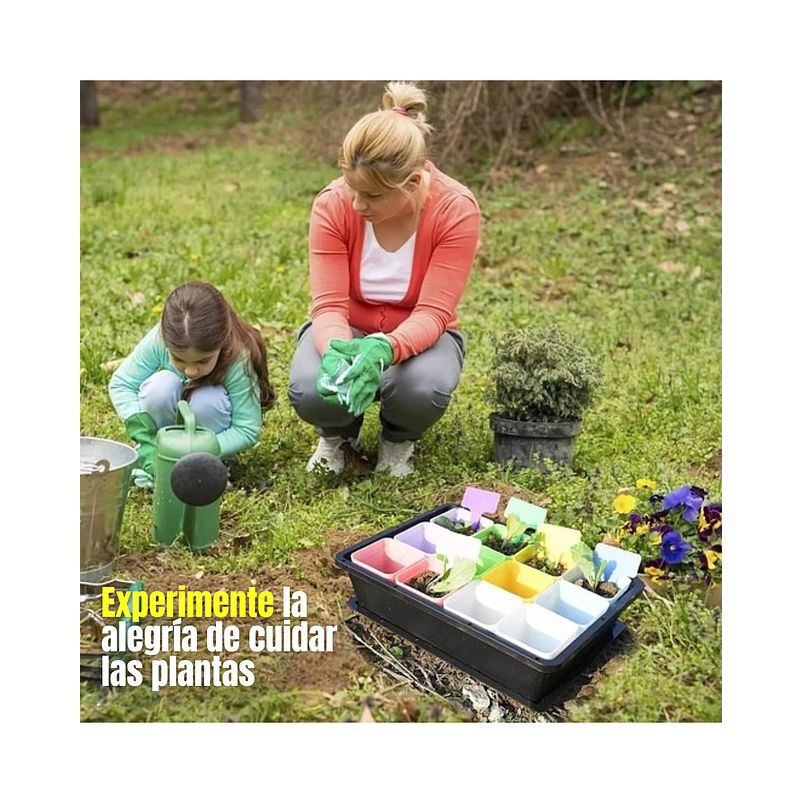 Kit Germinación Plantas X6 Bandejas mas cúpula y herramientas 3
