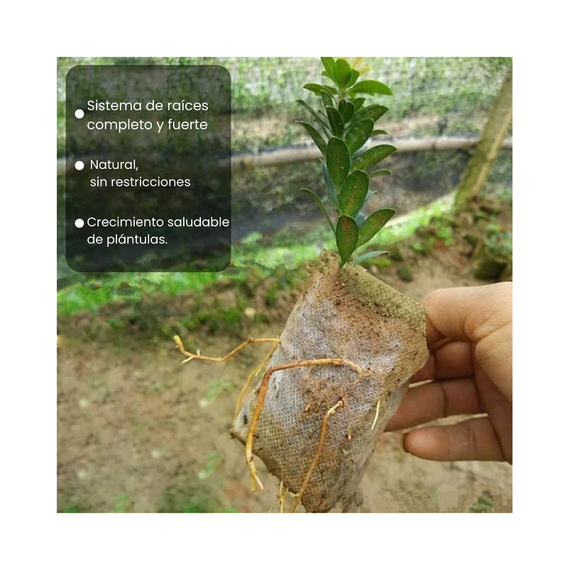 Bolsa Siembra Tela Especial Biodegradable x100pz Semillero 5