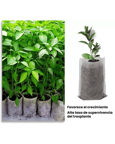 Bolsa Siembra Tela Especial Biodegradable x100pz Semillero
