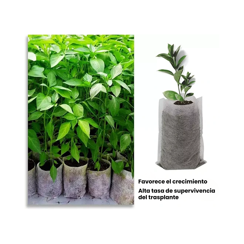 Bolsa Siembra Tela Especial Biodegradable x100pz Semillero 2