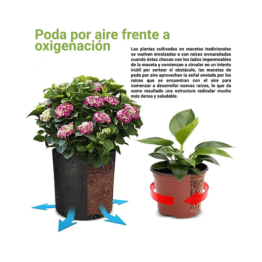 Maceta Siembra Plantas En Tela Especial x1 Galón 3,78 Litros 4