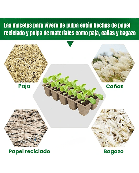 Kit Siembra x16 Bandejas Biodegradable 160 celdas Más Herramienta