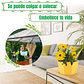 Maceta Plástica De Colgar Para Plantas de 25cm Diámetro - Miniatura 6