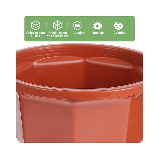 Maceta Plantas Plástica Colgante x10 Unidades Suculentas Cactus 18