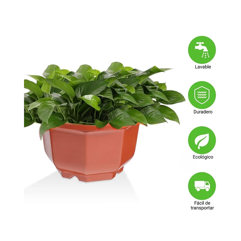 Maceta Plantas Plástica Colgante x1 Unidad Suculentas Cactus 16