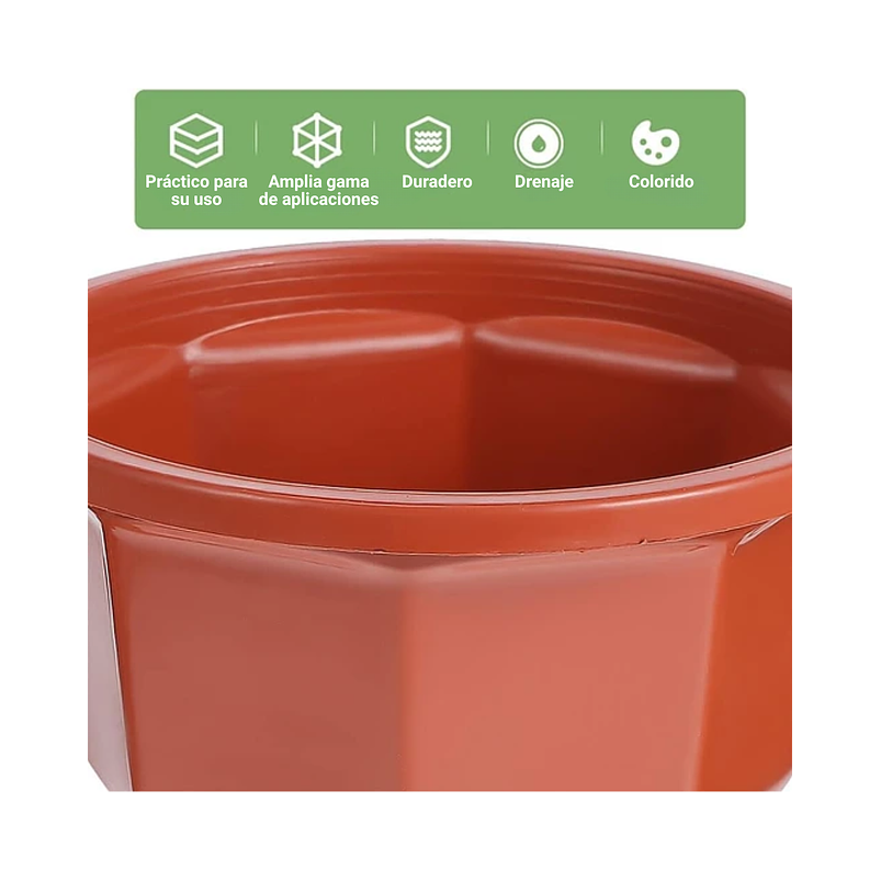 Maceta Plantas Plástica Colgante x5 Unidades Suculentas Cactus 10