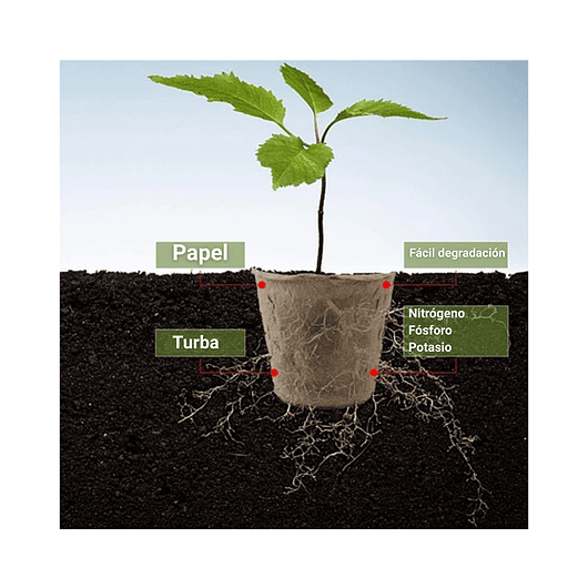 Maceta Papel Orgánico Biodegradable x50und Plántulas 6x6 centímetros 4