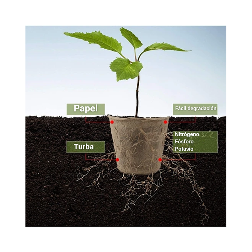 Maceta Papel Orgánico Biodegradable x25 Unidades Semillero 6x6 centímetros  2