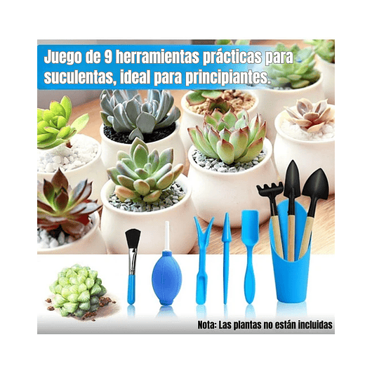 Kit Básico Herramientas Cuidado Cactus y Suculentas x9 piezas 4