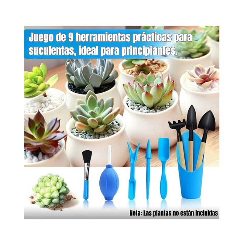 Kit Básico Herramientas Cuidado Cactus y Suculentas x9 piezas 4