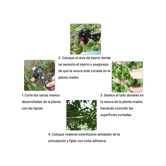 Kit Herramientas De Injerto Para Plantas y Corte 6