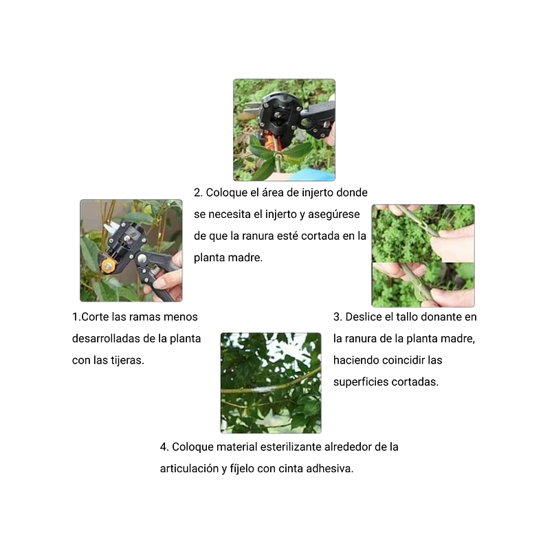 Kit Herramientas De Injerto Para Plantas y Corte 6