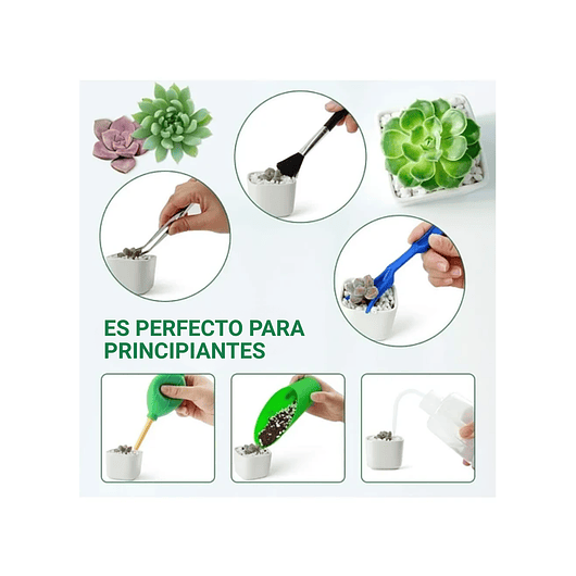 Kit Herramientas Jardín Cactus Plantas Suculenta x13 Piezas Más Bolso 5
