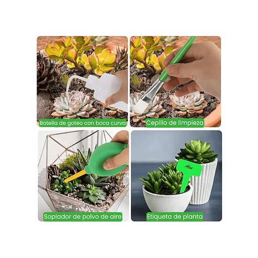 Kit Herramientas Siembra Cactus Y Suculentas x19 Piezas 11