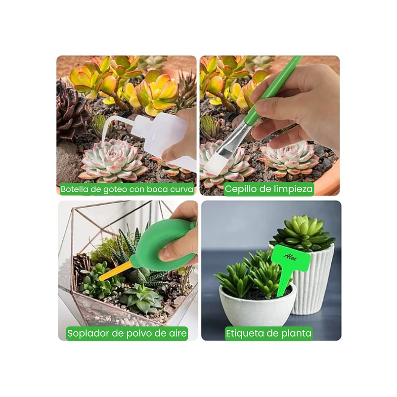 Kit Herramientas Siembra Cactus Y Suculentas x19 Piezas 11