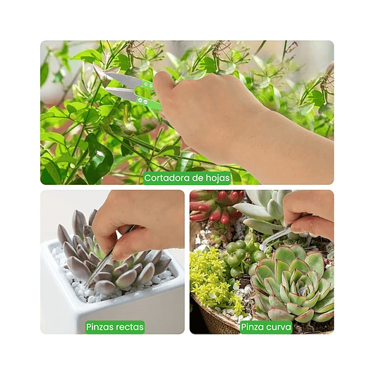 Kit Herramientas Siembra Cactus Y Suculentas x19 Piezas 9