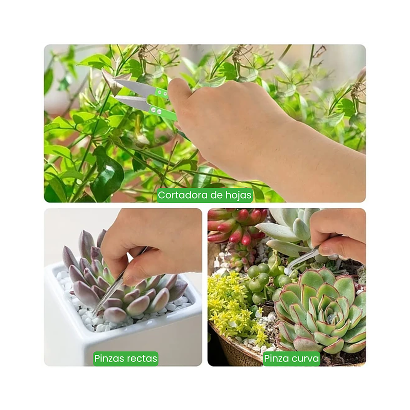 Kit Herramientas Siembra Cactus Y Suculentas x19 Piezas 9