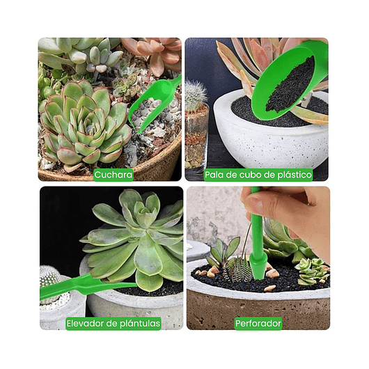 Kit Herramientas Siembra Cactus Y Suculentas x19 Piezas 7
