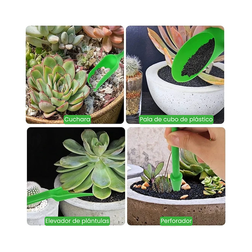 Kit Herramientas Siembra Cactus Y Suculentas x19 Piezas 7