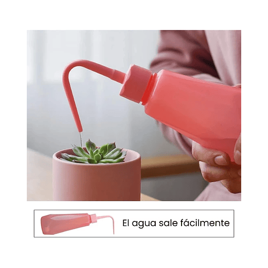 Kit Siembra Herramientas Jardín, Cactus, Plantas x12 Piezas 10