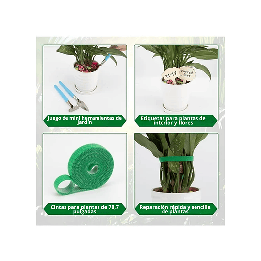 Kit Soporte Plantas Fibra De Coco x4 unidades Más Herramientas Siembra 5