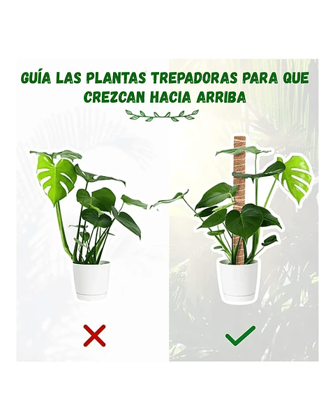 Kit Soporte Plantas Fibra De Coco x4 unidades Más Herramientas Siembra
