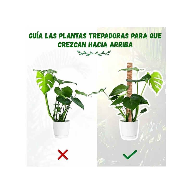 Kit Soporte Plantas Fibra De Coco x4 unidades Más Herramientas Siembra 2
