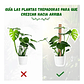 Kit Soporte Plantas Fibra De Coco x4 unidades Más Herramientas Siembra - Miniatura 4