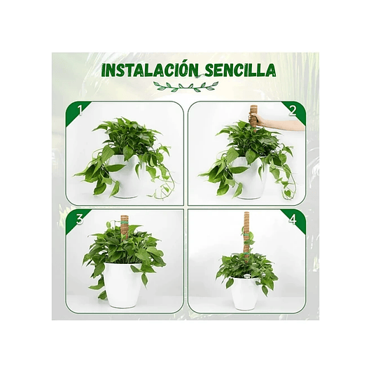 Kit Soporte Plantas Fibra De Coco x4 unidades Más Herramientas Siembra 6