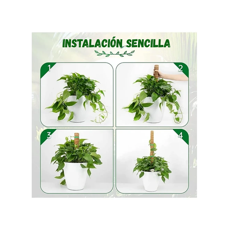 Kit Soporte Plantas Fibra De Coco x4 unidades Más Herramientas Siembra 4