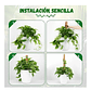 Kit Soporte Plantas Fibra De Coco x4 unidades Más Herramientas Siembra - Miniatura 6