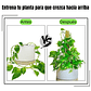 Kit Soporte De Plantas En Fibra De Coco x2 Unidades Más Herramientas - Miniatura 3
