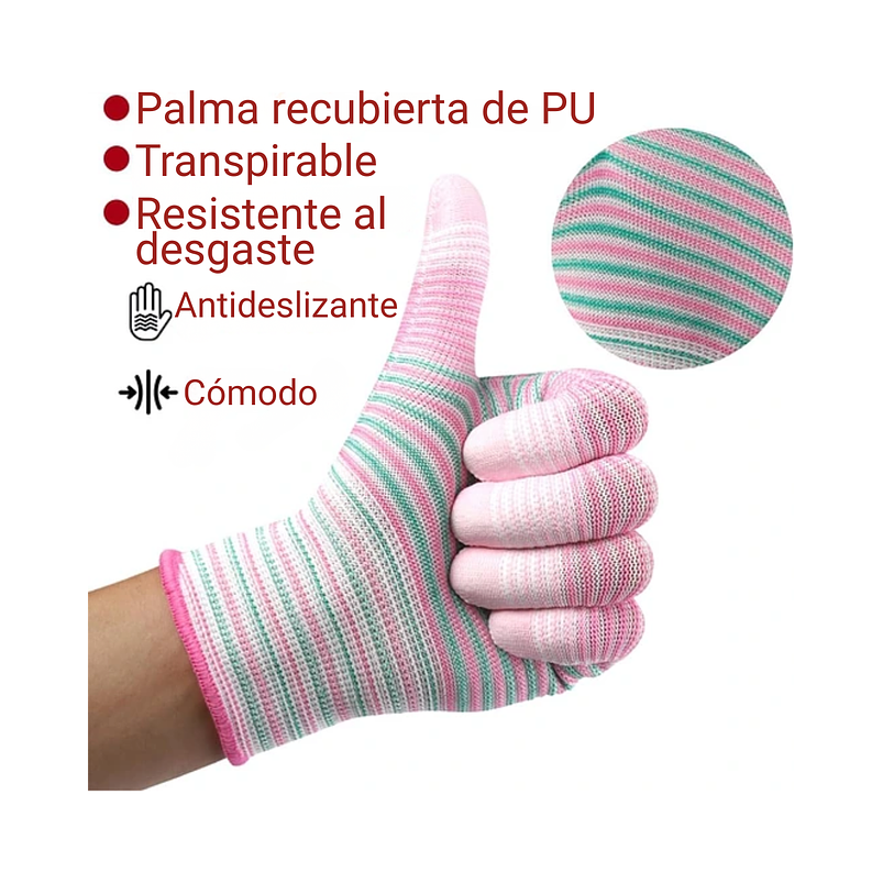 Kit Herramientas Jardinería Plantas x10 Piezas En Acero Más estuche 14