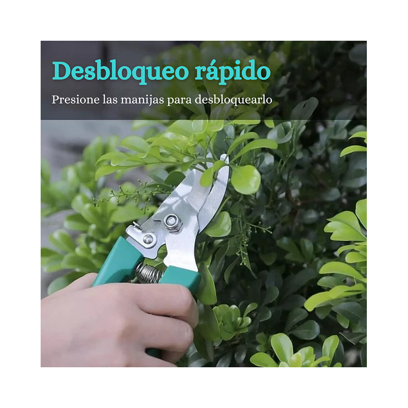 Kit Herramientas Jardinería Plantas x10 Piezas En Acero Más estuche 10