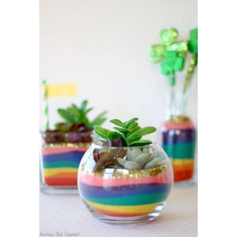 Arena Decorativa Suculentas Cactus Terrarios x500 Gramos  23