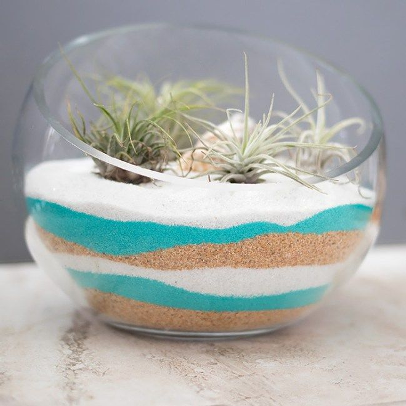 Arena Decorativa Suculentas Cactus Terrarios x500 Gramos  24