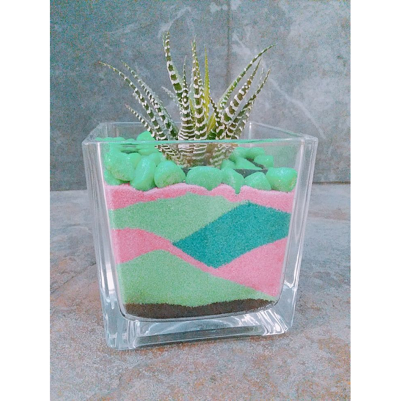 Arena Decorativa Suculentas Cactus Terrarios x500 Gramos  25