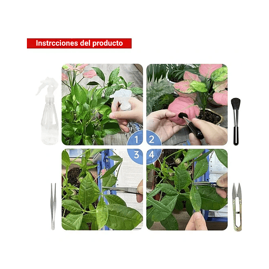 Kit Herramientas Plantas Cactus Suculenta x15 Piezas Azul 5