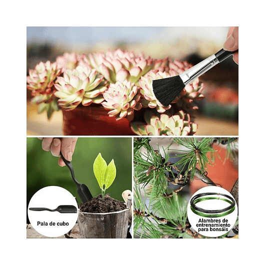 Kit Herramientas Bonsai Suculentas Acero X20 Piezas más estuche 3