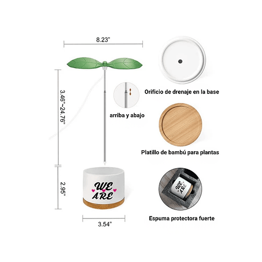 Juego Macetas Cerámica Suculentas x2 unidades más kit Iluminación 2