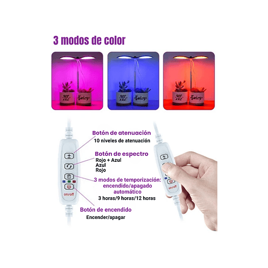 Juego Macetas Cerámica Suculentas x2 unidades más kit Iluminación 3