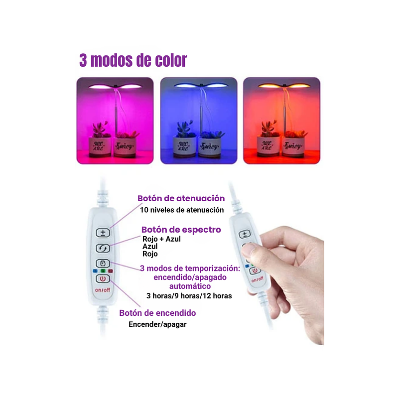 Juego Macetas Cerámica Suculentas x2 unidades más kit Iluminación 3