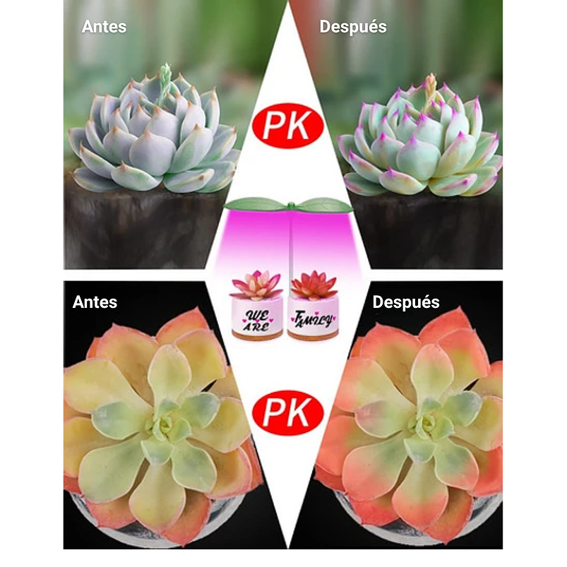 Juego Macetas Cerámica Suculentas x2 unidades más kit Iluminación 5