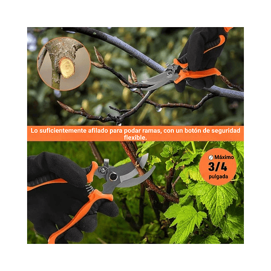 Kit Herramientas de Jardinería Plantas x8 Piezas Acero más bolso 5