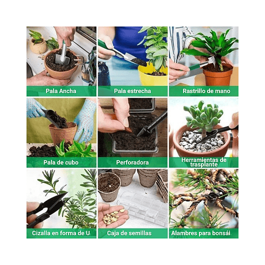 Kit Herramientas Esencial de Plantas Suculentas y Cactus 4