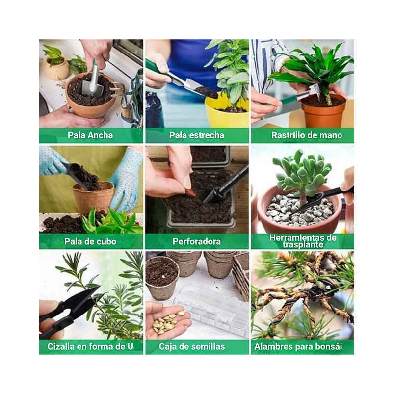 Kit Herramientas Esencial de Plantas Suculentas y Cactus 4