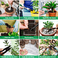Kit Herramientas Esencial de Plantas Suculentas y Cactus - Miniatura 4